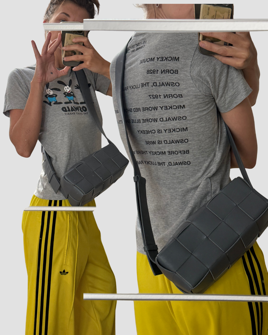 Bottega Veneta Brick Cassette